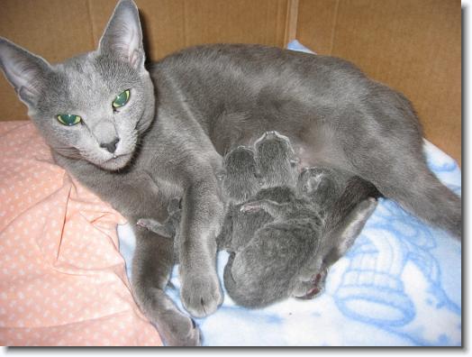 You have reached the last slide